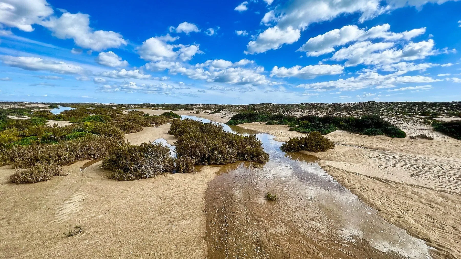 Tidevannet renner inn mellom sanddyner og lav vegetasjon på øya Culatra i Ria Formosa under spredte hvite skyer