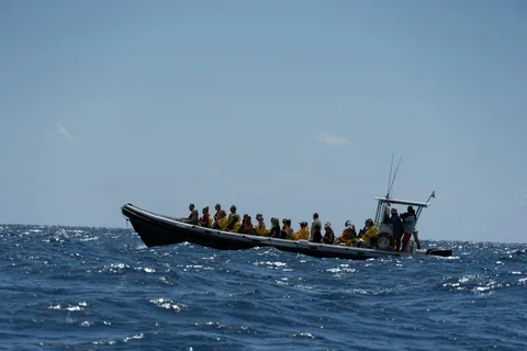 Hvalsafaribåt med passasjerer på blått, urolig hav utenfor Pico på Azorene