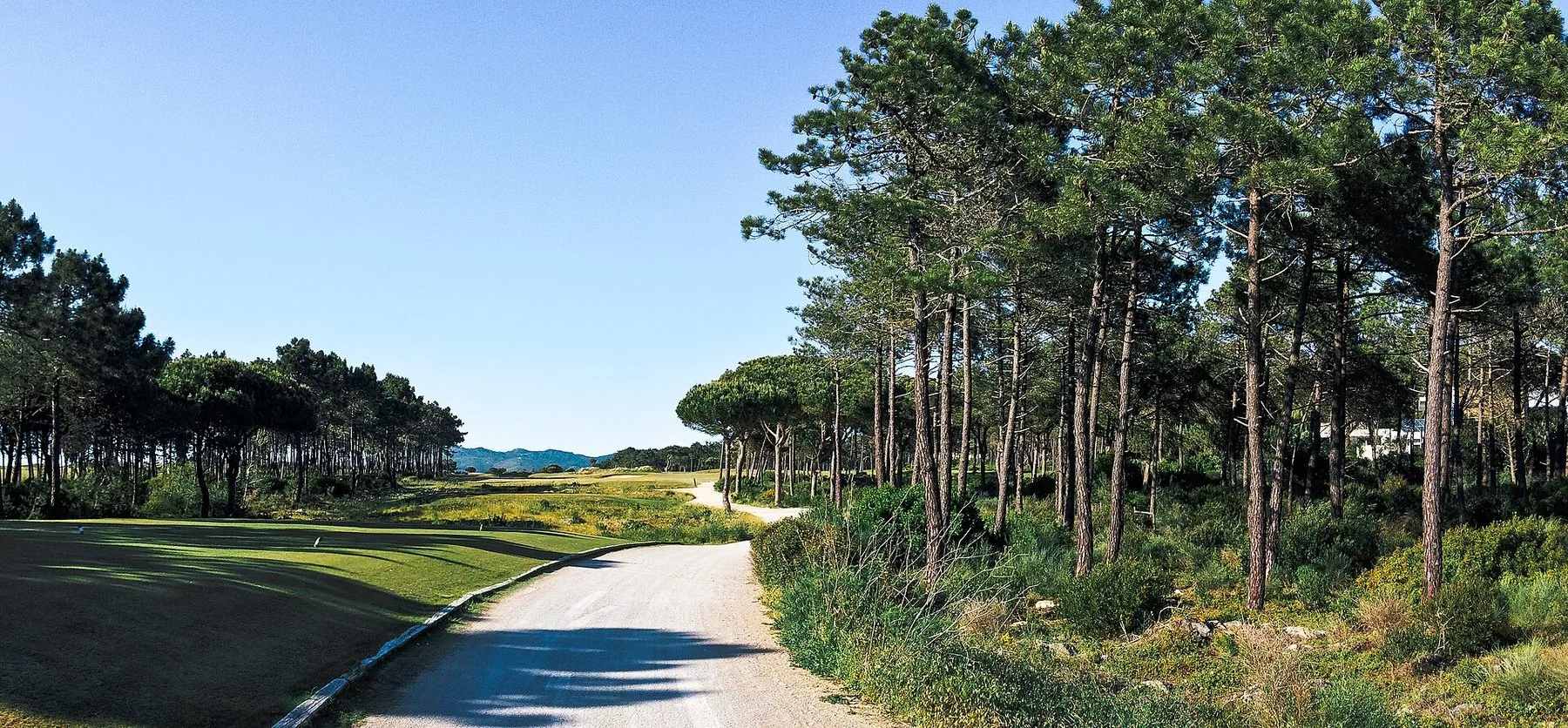 Fairway mellom pinjetrær og sanddyner på golfbanen Oitavos Dunes ved Cascais