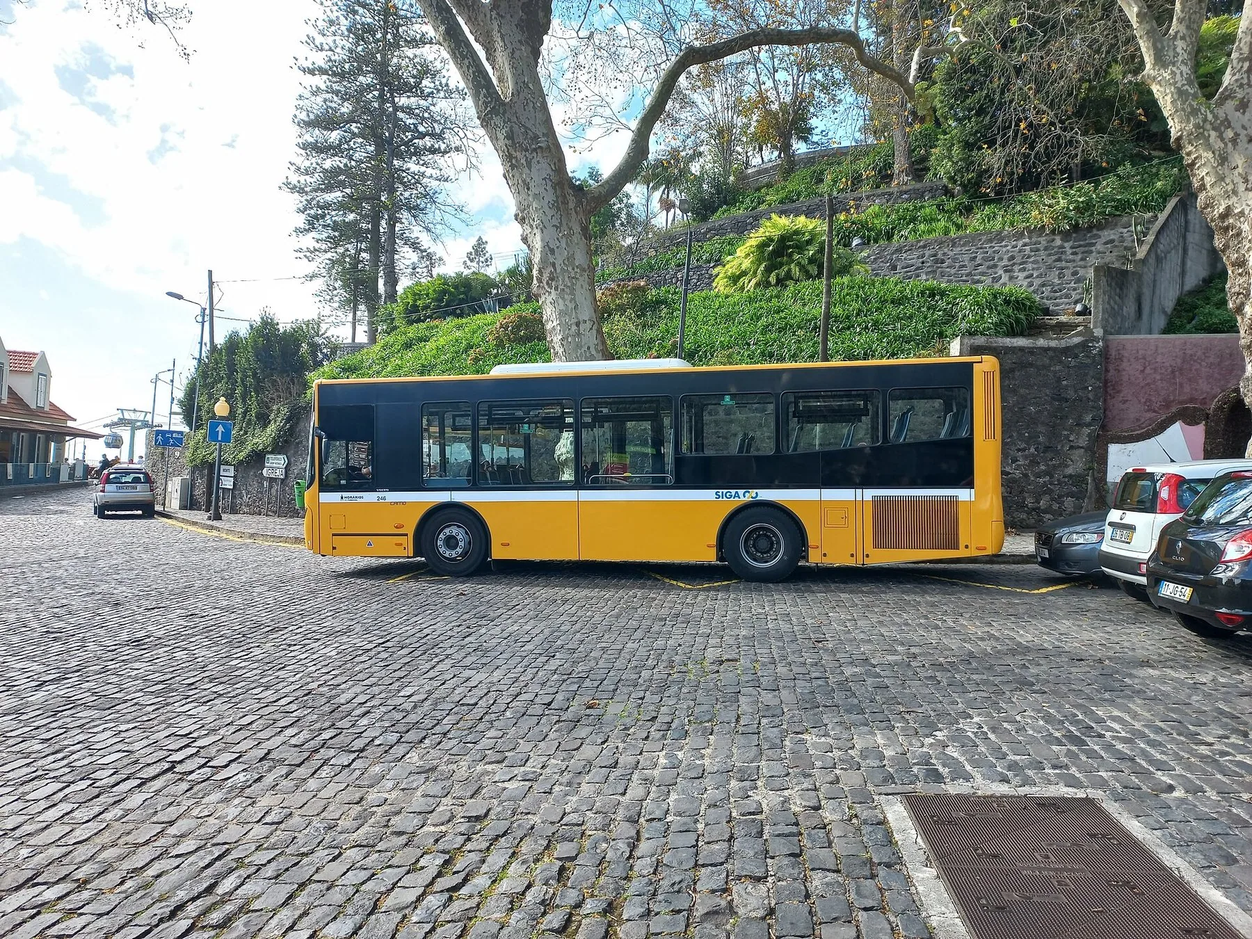 Gul bybuss i Funchal kjører over en brosteinsplass med platantrær og grønne skråninger i bakgrunnen