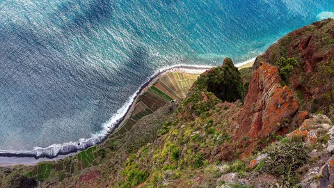 Utsikt rett ned fra klippen Cabo Girão mot terrasserte åkrer på en smal strandflate og turkis hav
