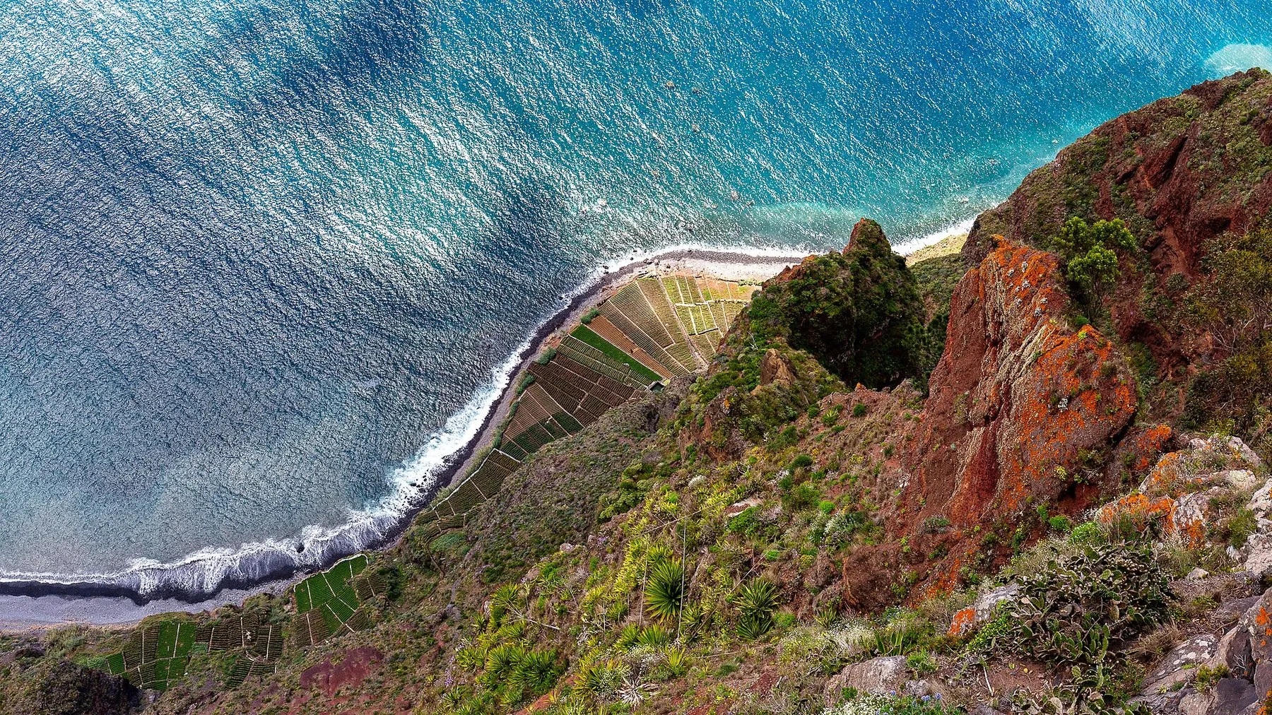 Utsikt rett ned fra klippen Cabo Girão mot terrasserte åkrer på en smal strandflate og turkis hav