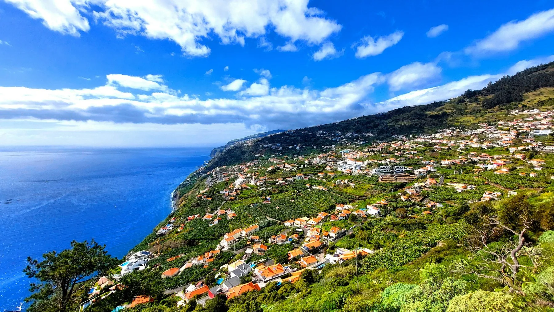 Arco da Calheta med hus og terrasser i den bratte, grønne fjellsiden mot havet