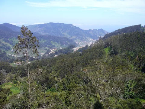 Utsikt fra parken i Santo da Serra over skogkledde åser og Machico-dalen mot fjellene