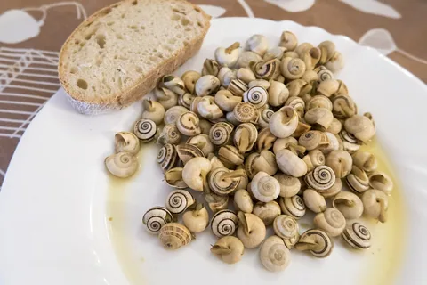 Hvit tallerken med kokte småsnegler, caracóis, i en skvett olje, med en skive grovt brød ved siden av