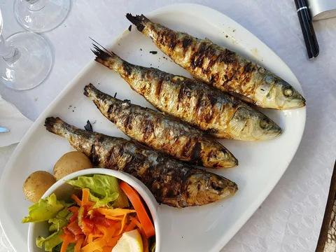 Grillet fisk servert med frisk grønnsakssalat på en hvit tallerken