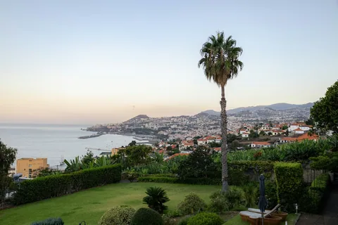 Utsikt over Funchal med hus opp langs fjellsiden og havet nedenfor på Madeira