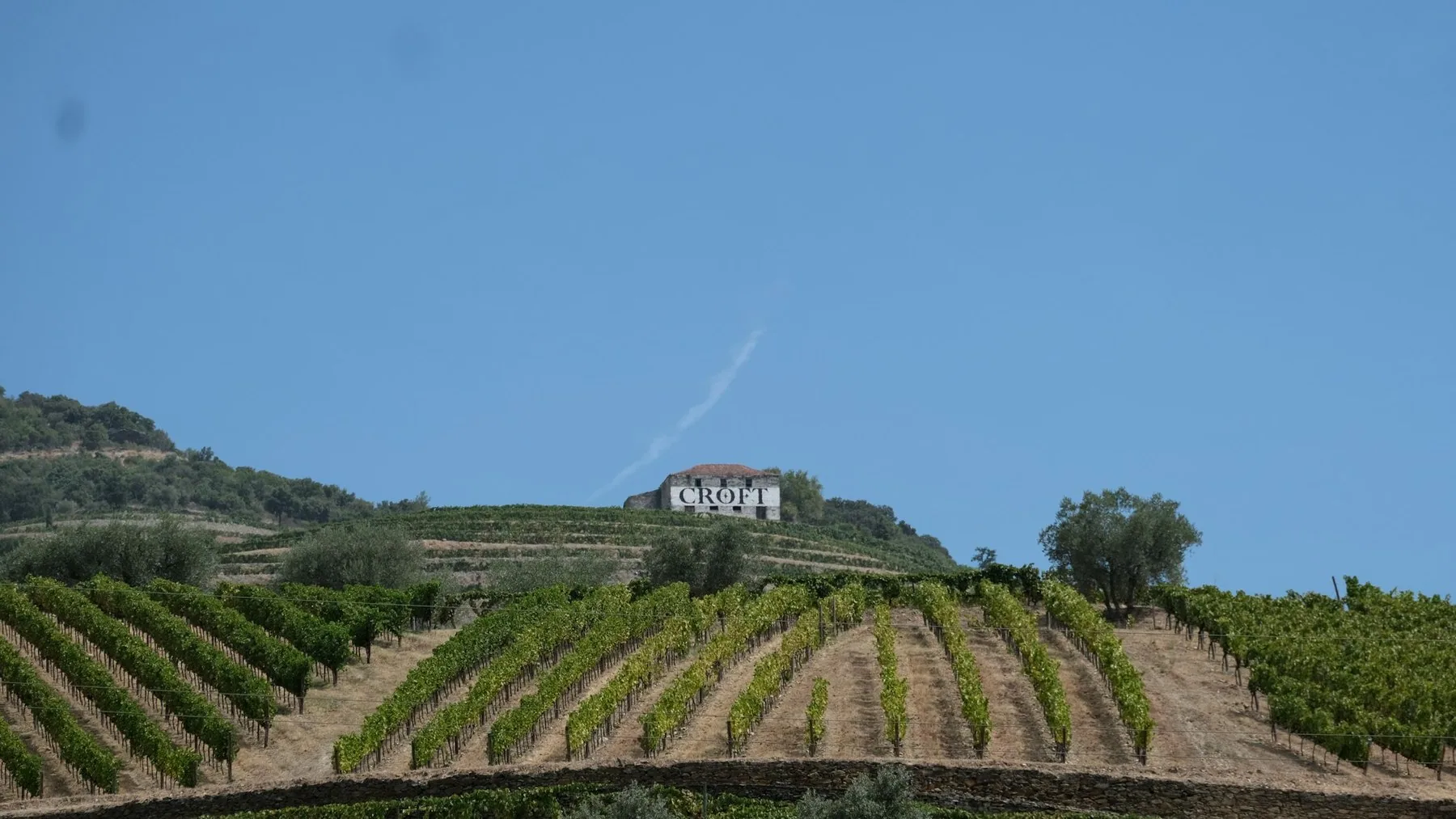 Vinmarker i rader opp mot en quinta på åsen ved Pinhao i Douro