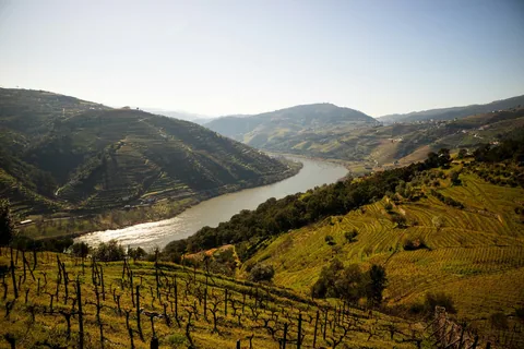 Douro-elva slynger seg mellom terrasserte vinåser i Dourodalen i ettermiddagslys