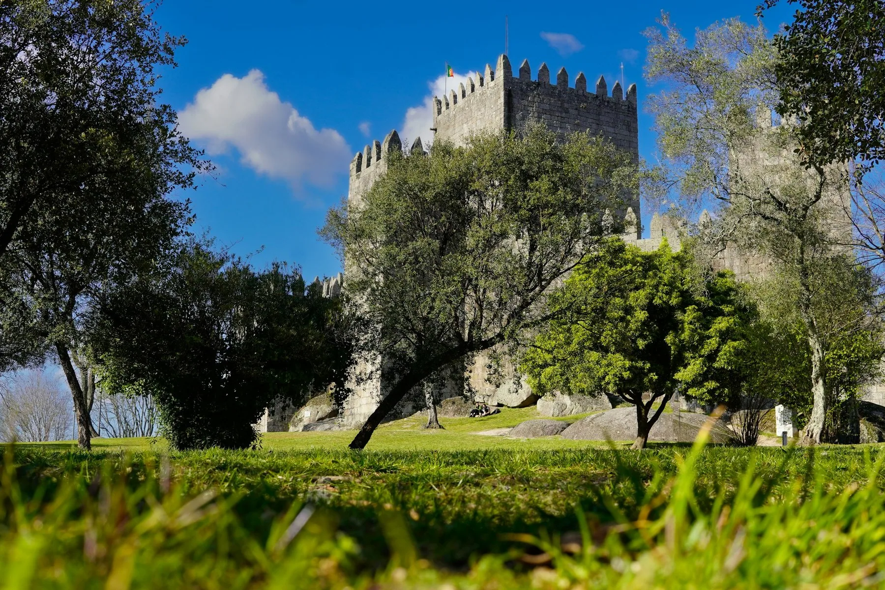 Borgen i Guimarães med tinder mot blå himmel, sett fra parken nedenfor med oliventrær i forgrunnen
