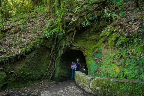 Turgåer ved en tunnel langs Levada do Caldeirao Verde i den frodige laurbærskogen på Madeira
