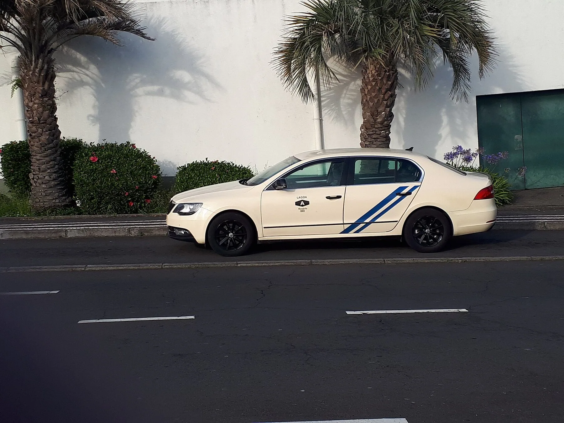 Kremfarget taxi med blå stripe parkert under palmer i Ponta Delgada på Azorene